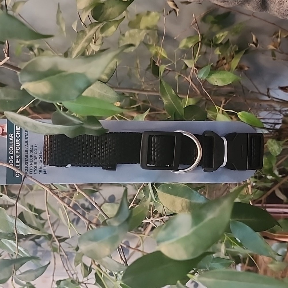 SALE⚡️Adjustable Dog Collar sz L